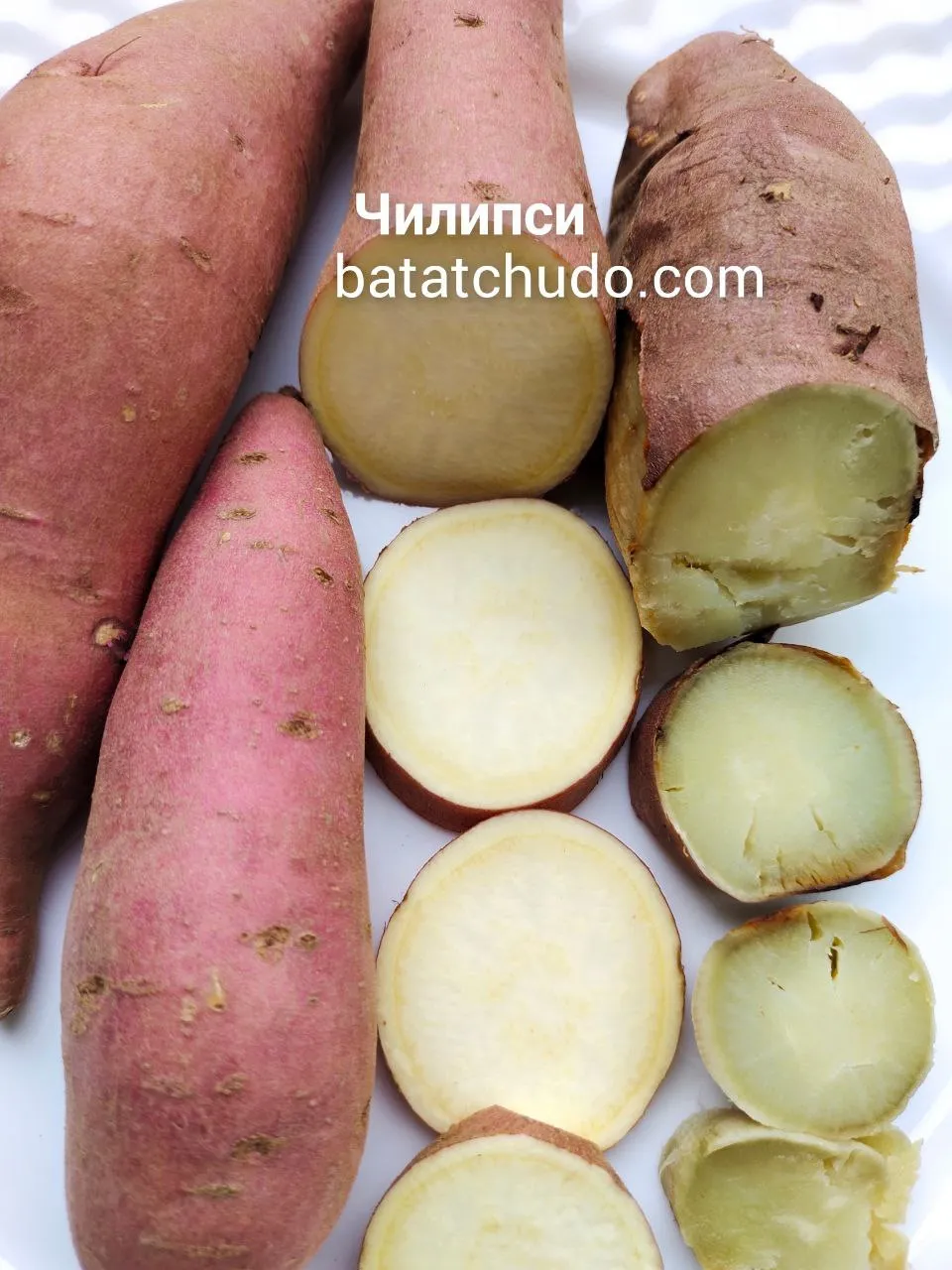 chilipsi