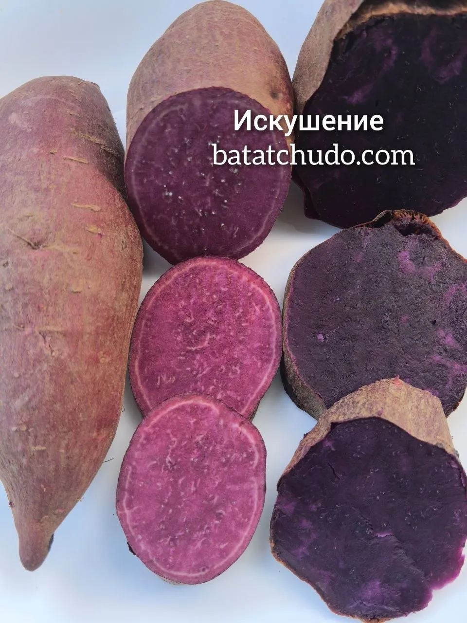 Искушение