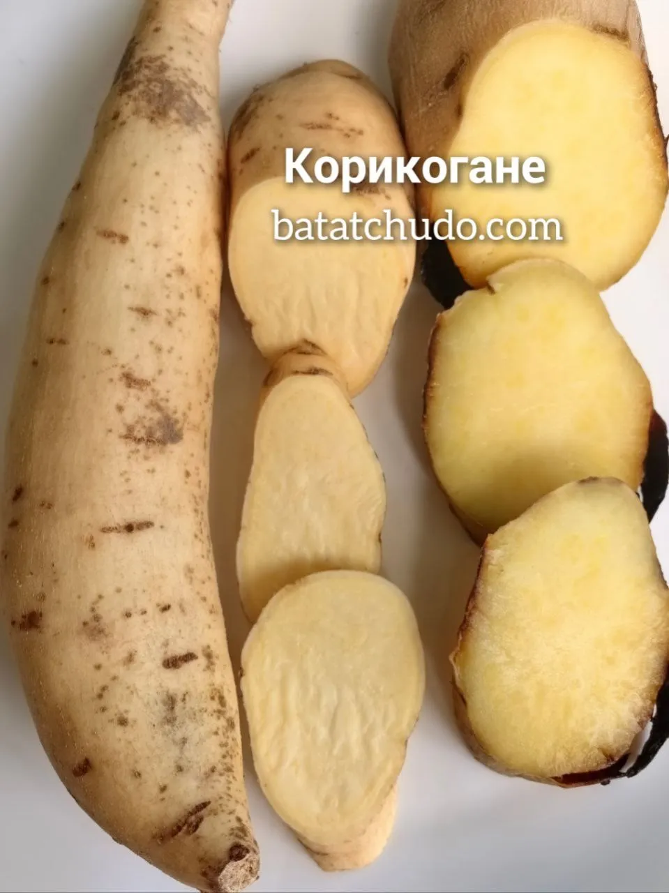 Корикогане