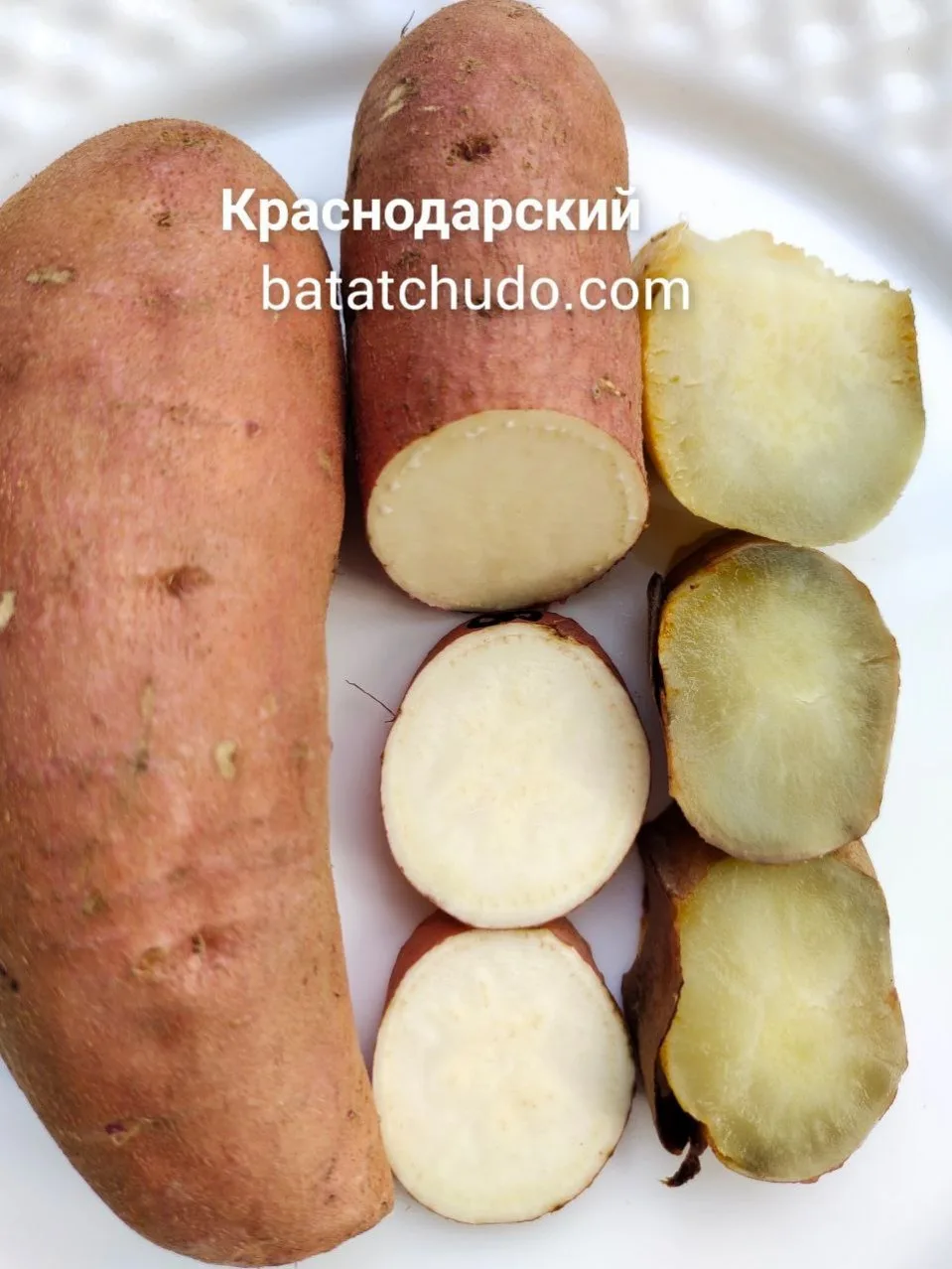 krasnodarskiy