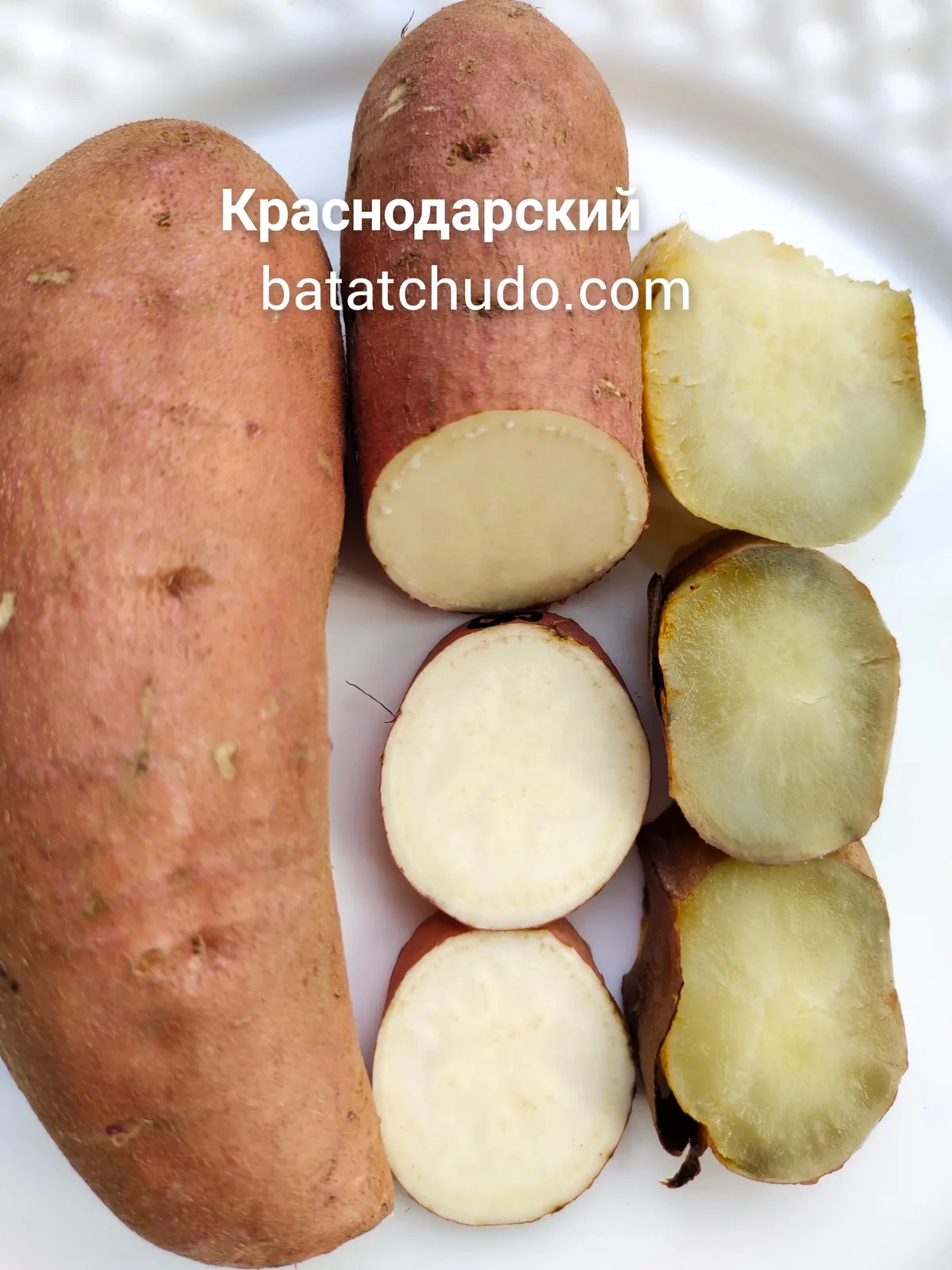 Краснодарский