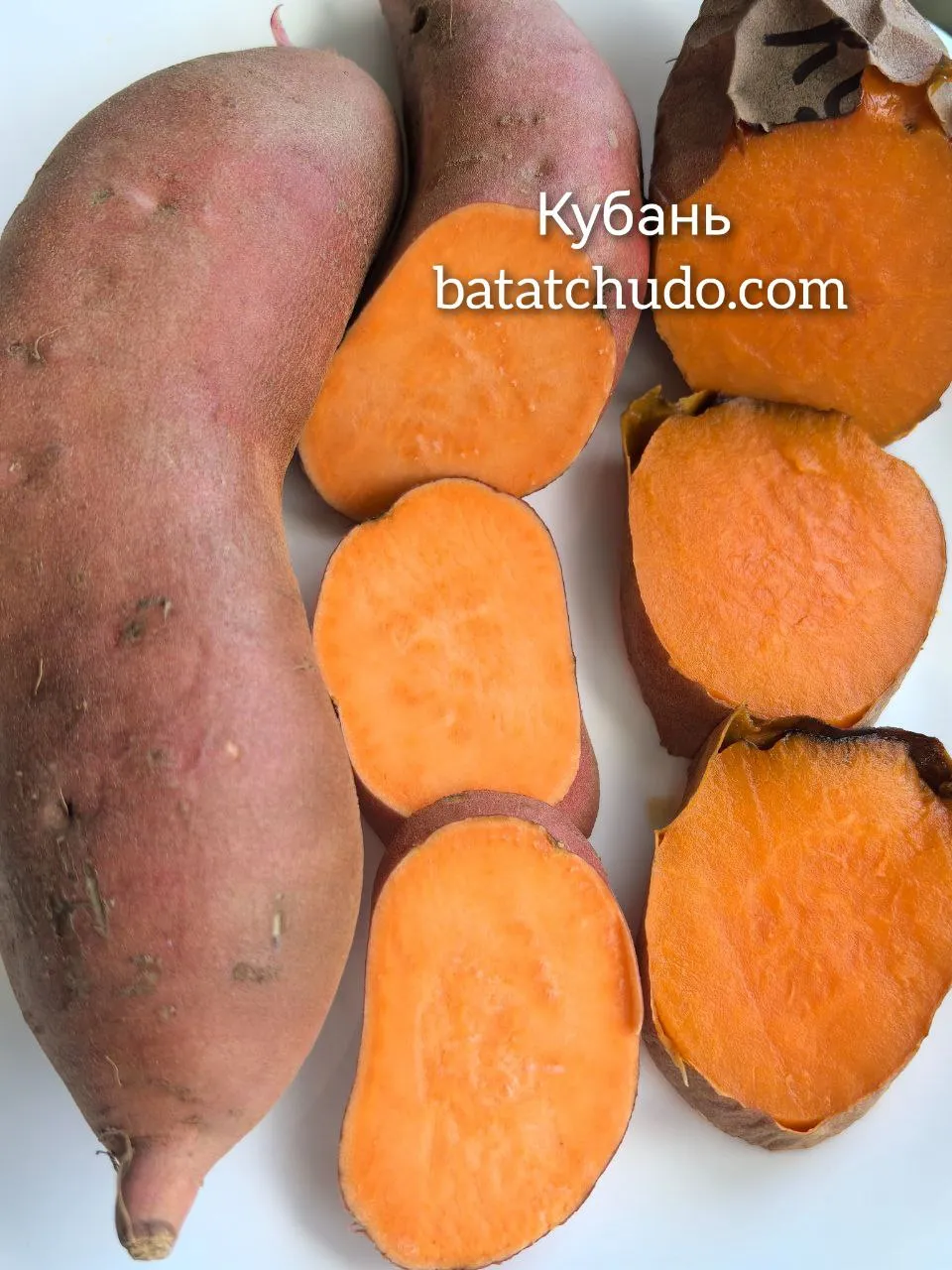 Кубань