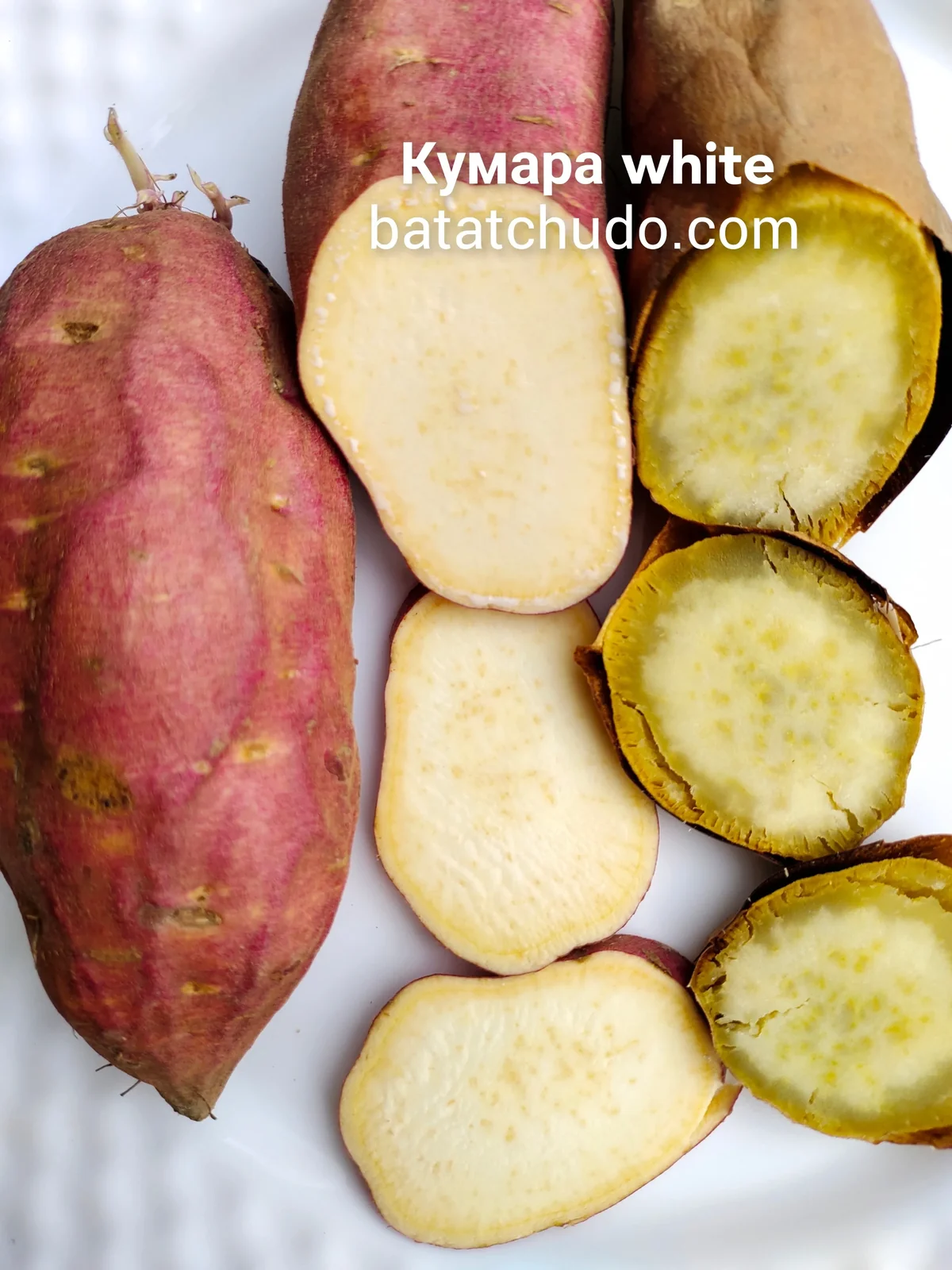 Кумара White