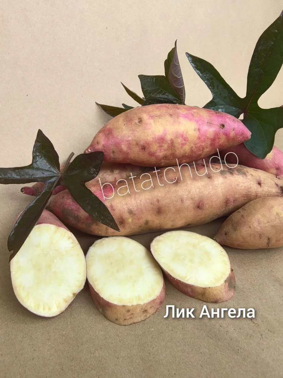 Лик Ангела