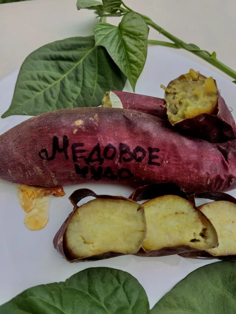 medovoe-chudo