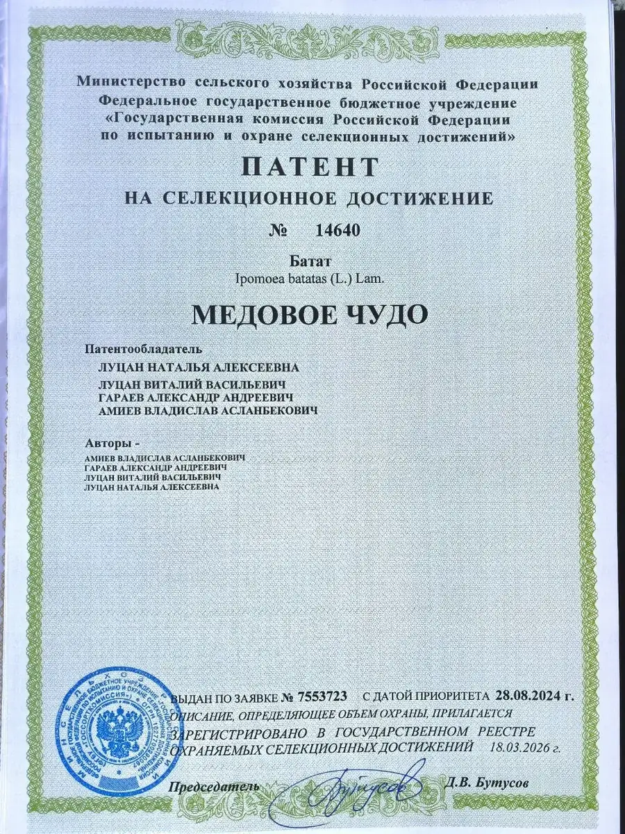 Патент сорта Медовое чудо