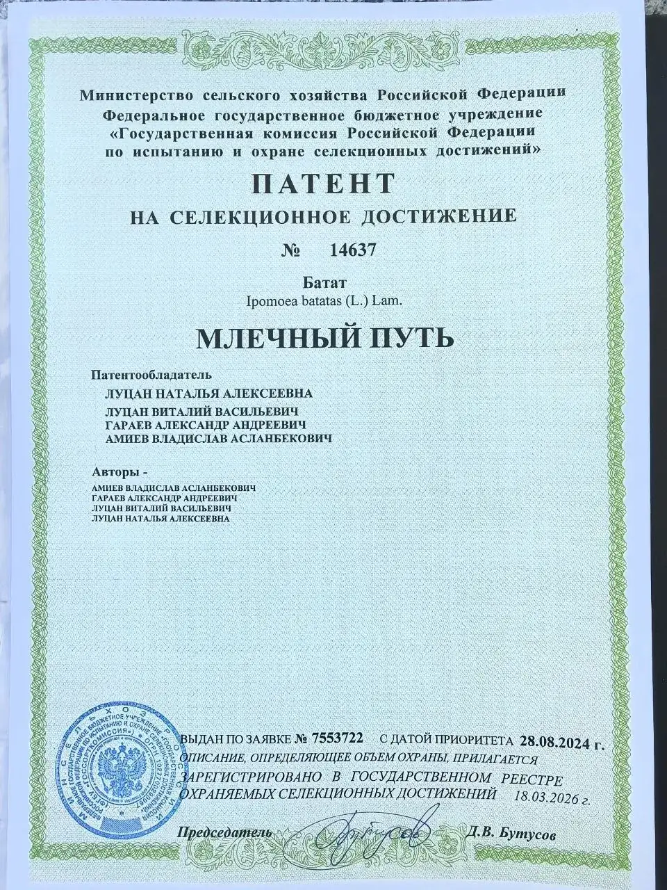 Патент сорта Млечный путь