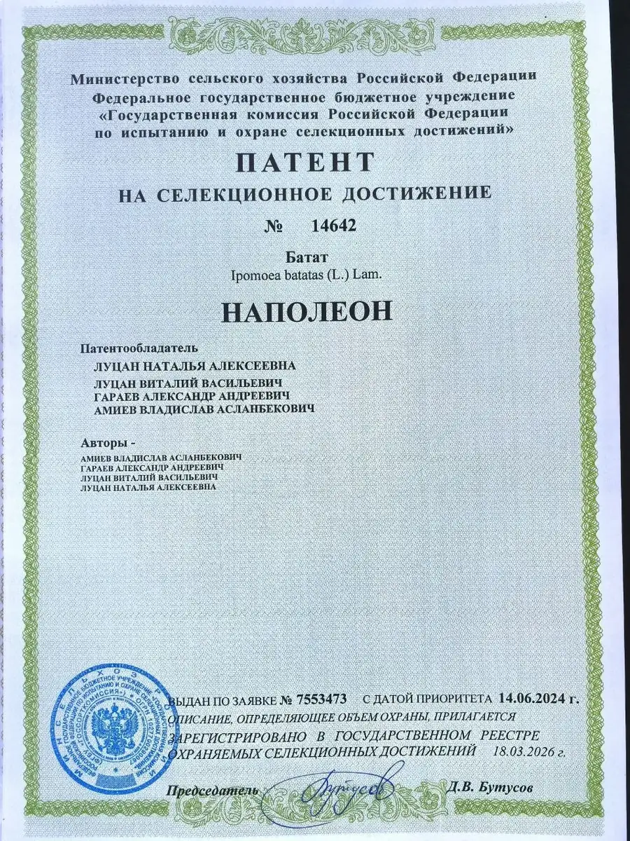 Патент сорта Наполеон