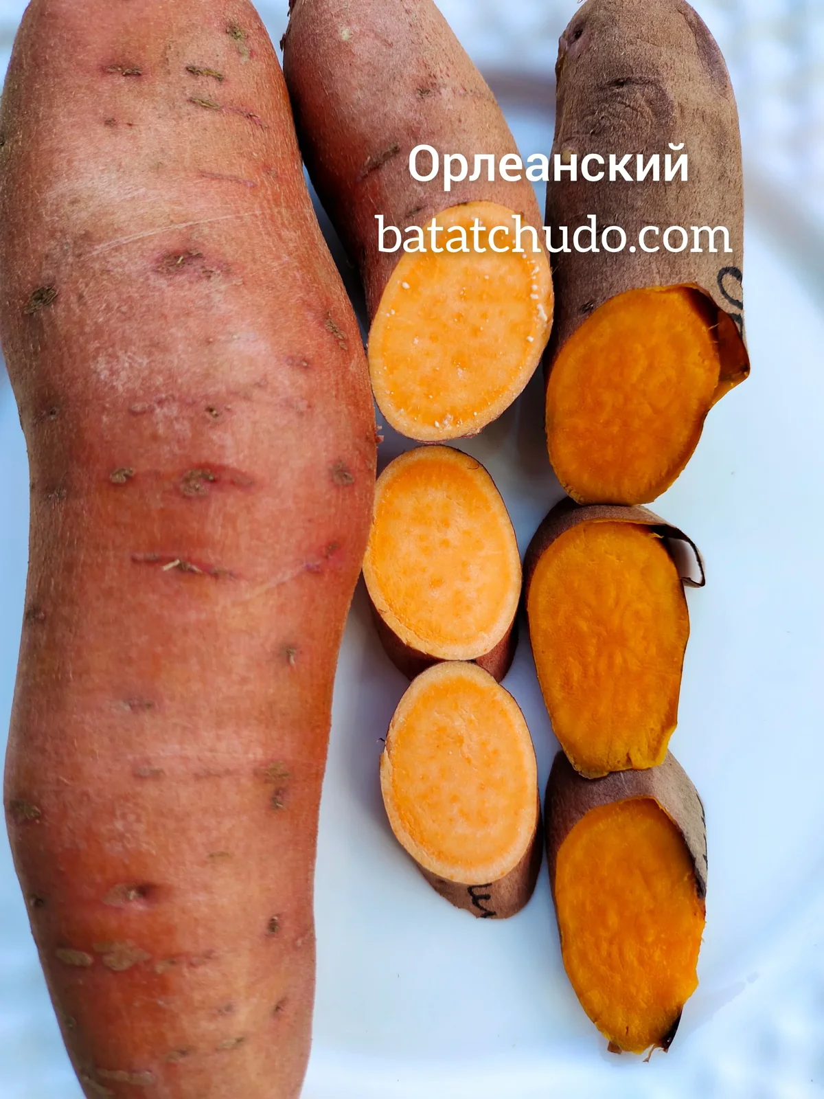 Орлеанский