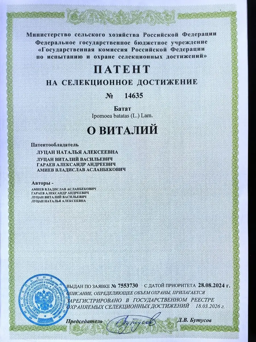 Патент сорта Овиталий