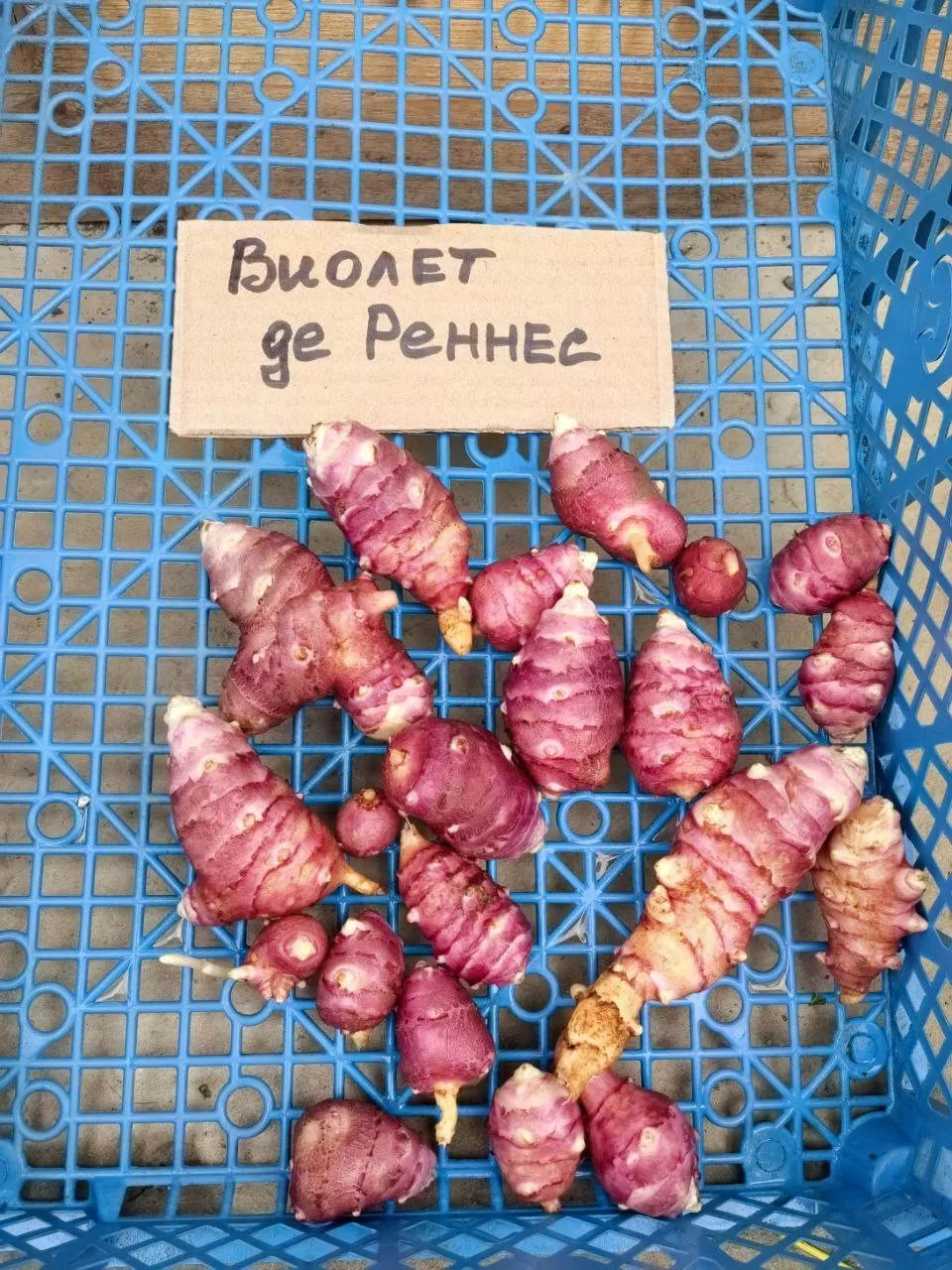 Топинамбур