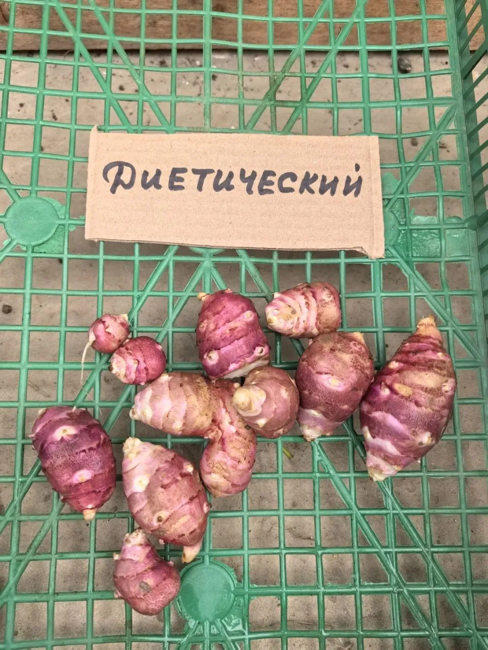 Топинамбур